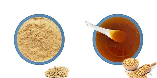 SOY