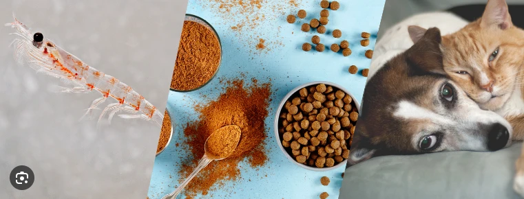 Antarctic krill meal bulk Antarctic krill meal bulk