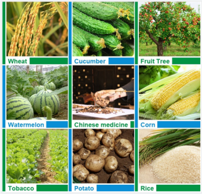 hjagrifeed humic acid powder manufacturer hjagrifeed humic acid powder manufacturer