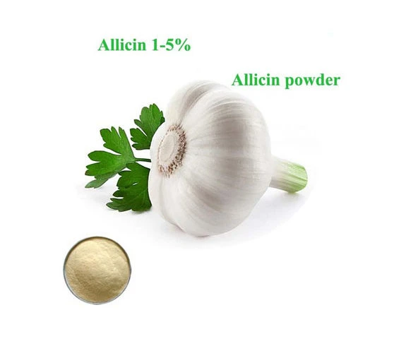 Allicyna czosnkowa w proszku