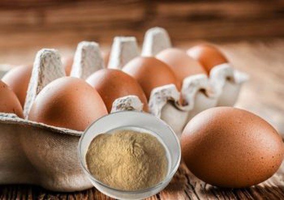 Allicin Powder manufacturer Allicin Powder manufacturer